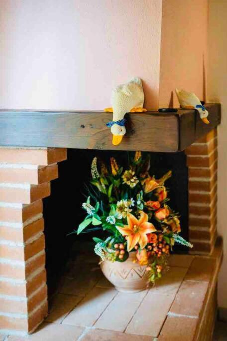 A Casa Di Claudia Apartment Saturnia Luaran gambar